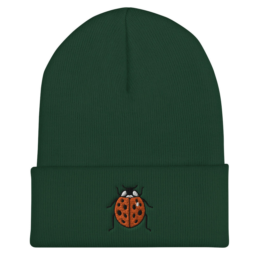 A spruce colored ladybug beanie.