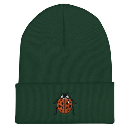 A spruce colored ladybug beanie.