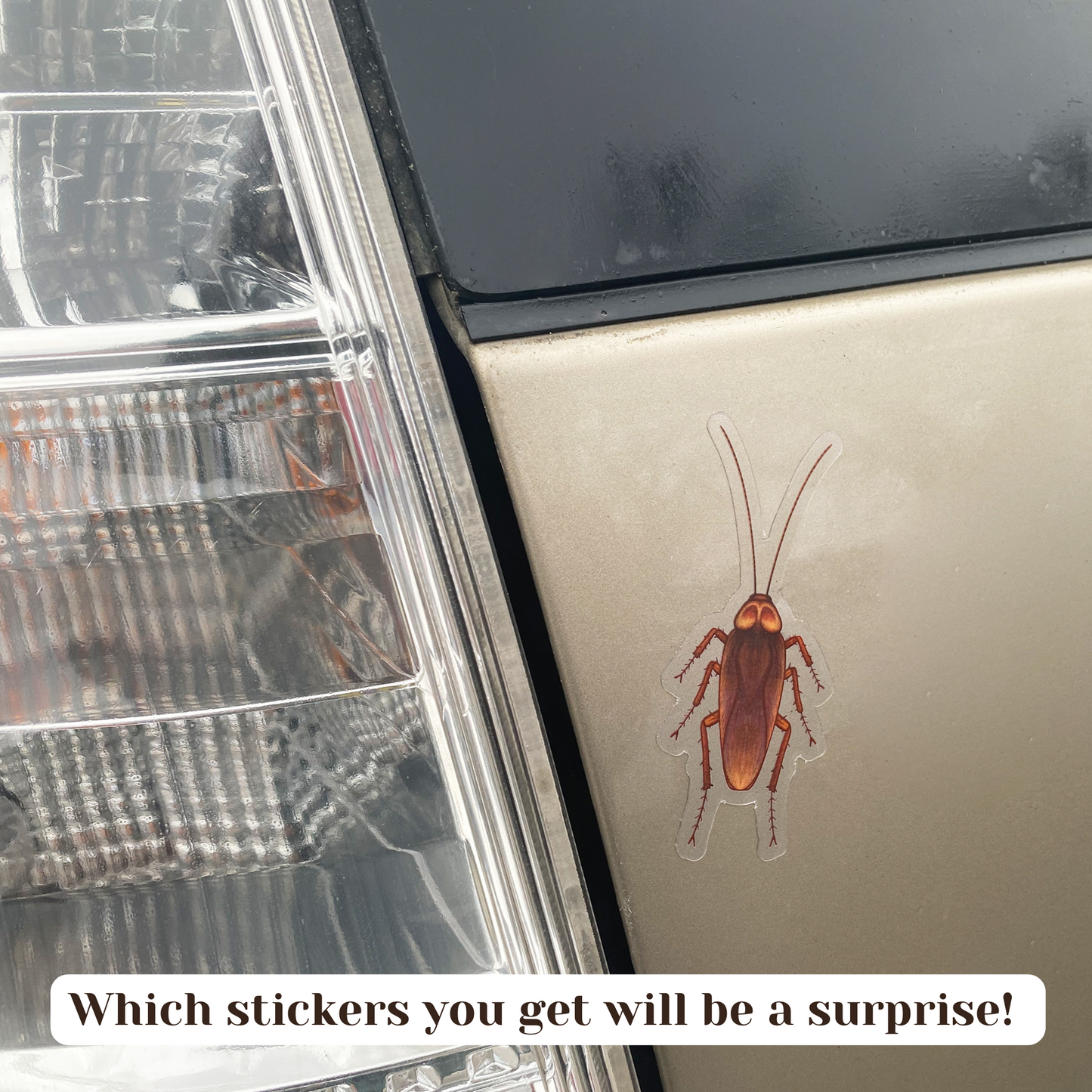 Which exact 10 stickers you get will be a surprise! There will be no repeats. This image shows a cockroach sticker on a car.